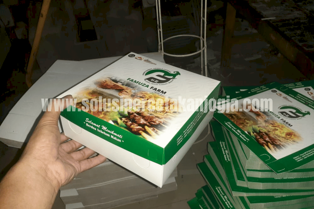 Cetak Box Nasi Terbaik Ditangani Oleh Tim Profesional Dibidangnya